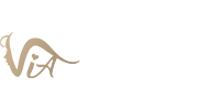 VIA_CASINO